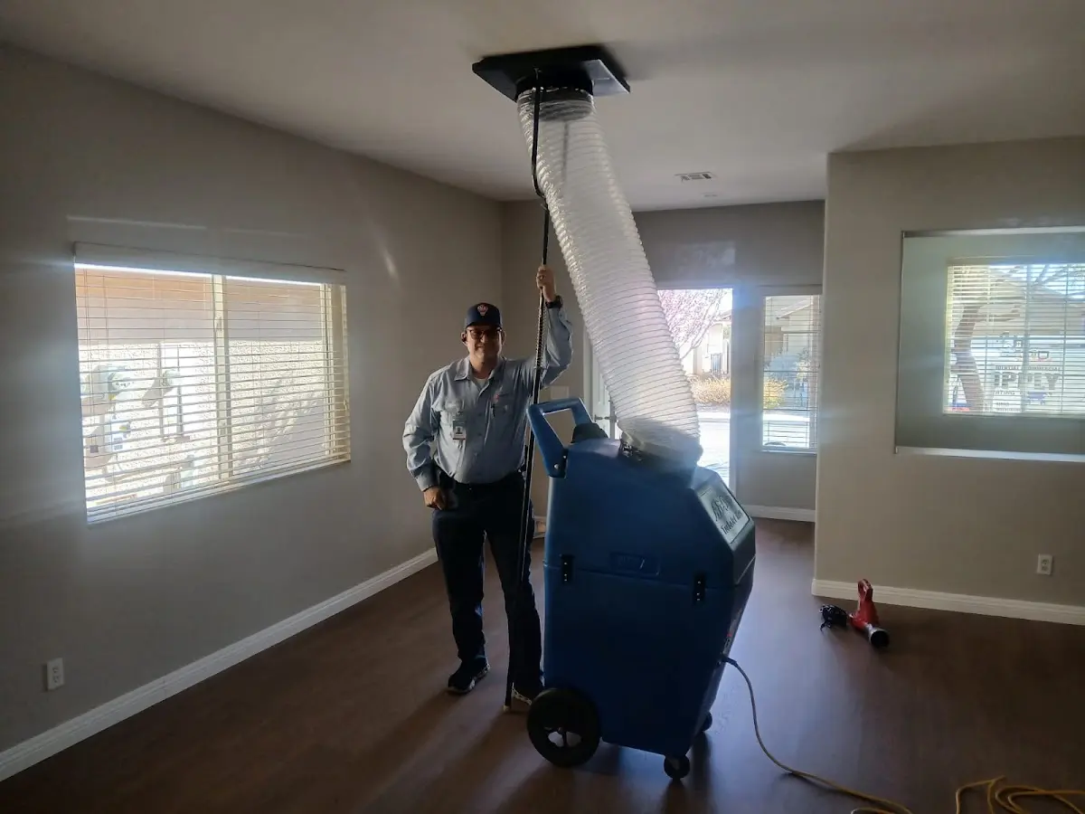Professional Dryer Vent Cleaning work inside a Linwood home